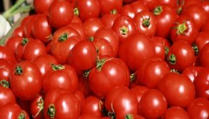 كيفية الوقاية من أضرار الطماطم