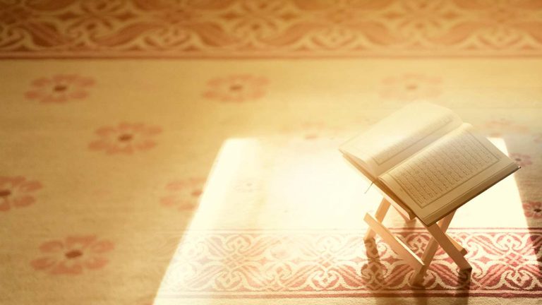ايات قرانية عن النباتات وتعرف على الأيات المختلفة و التى تدل على النباتات