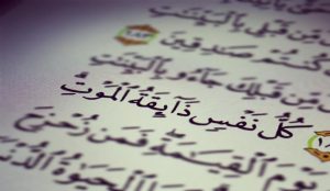 آيات قرآنية مصورة