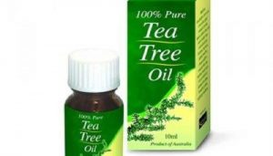 طرق لاستخدام زيت شجرة الشاي بديلا للكيماويات