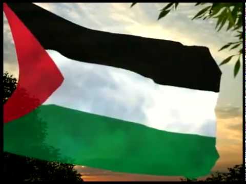 الفلسطيني العلم صور علم