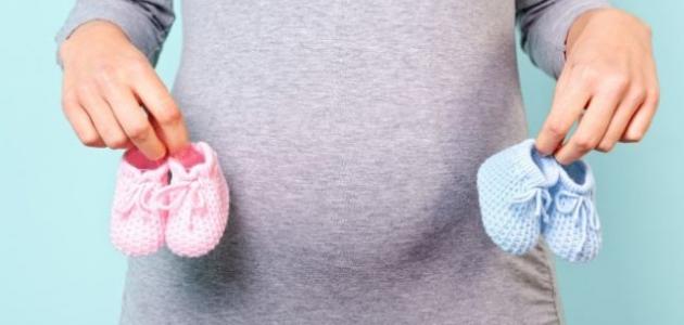 صورة الفرق بين الجنين الذكر والانثى بالسونار في الشهر الثالث