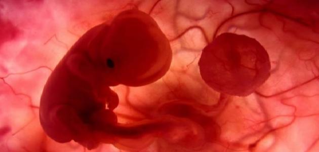 صورة كيف احس بحركة الجنين في الشهر الثالث