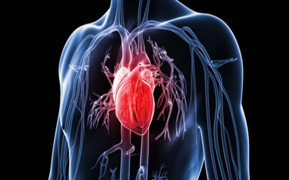 صورة أعراض مرض القلب والشرايين