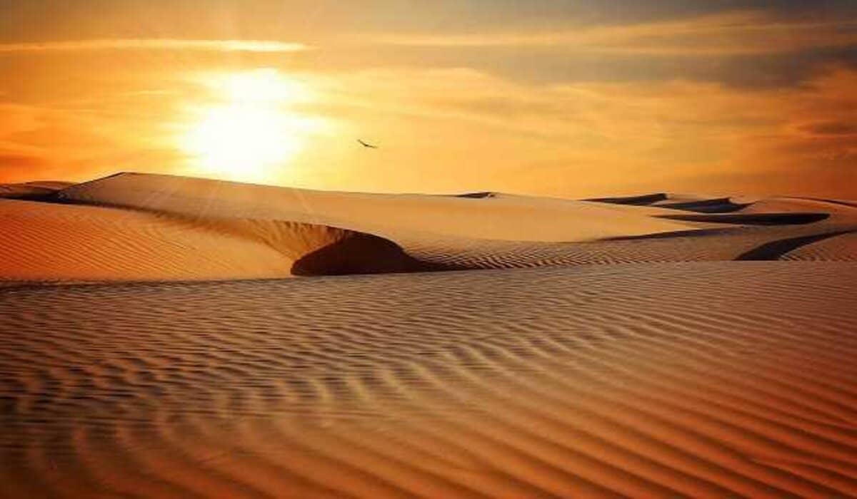 صورة موضوع تعبير عن الصحراء للصف الخامس
