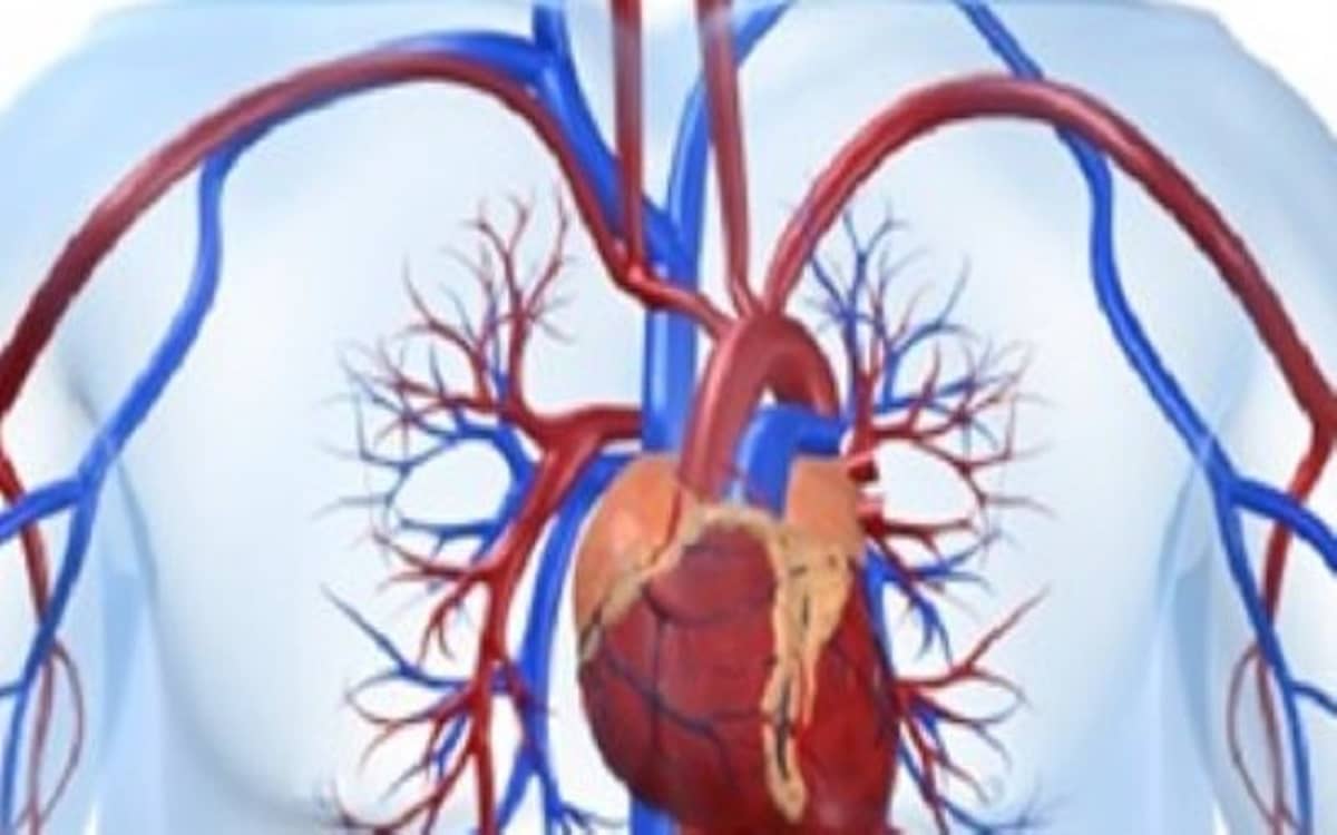 اعراض ارتفاع انزيمات القلب