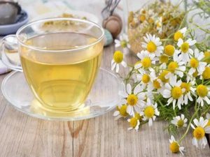 البابونج البابونج