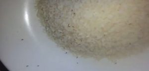 كيفية التخلص من النمل في الارز