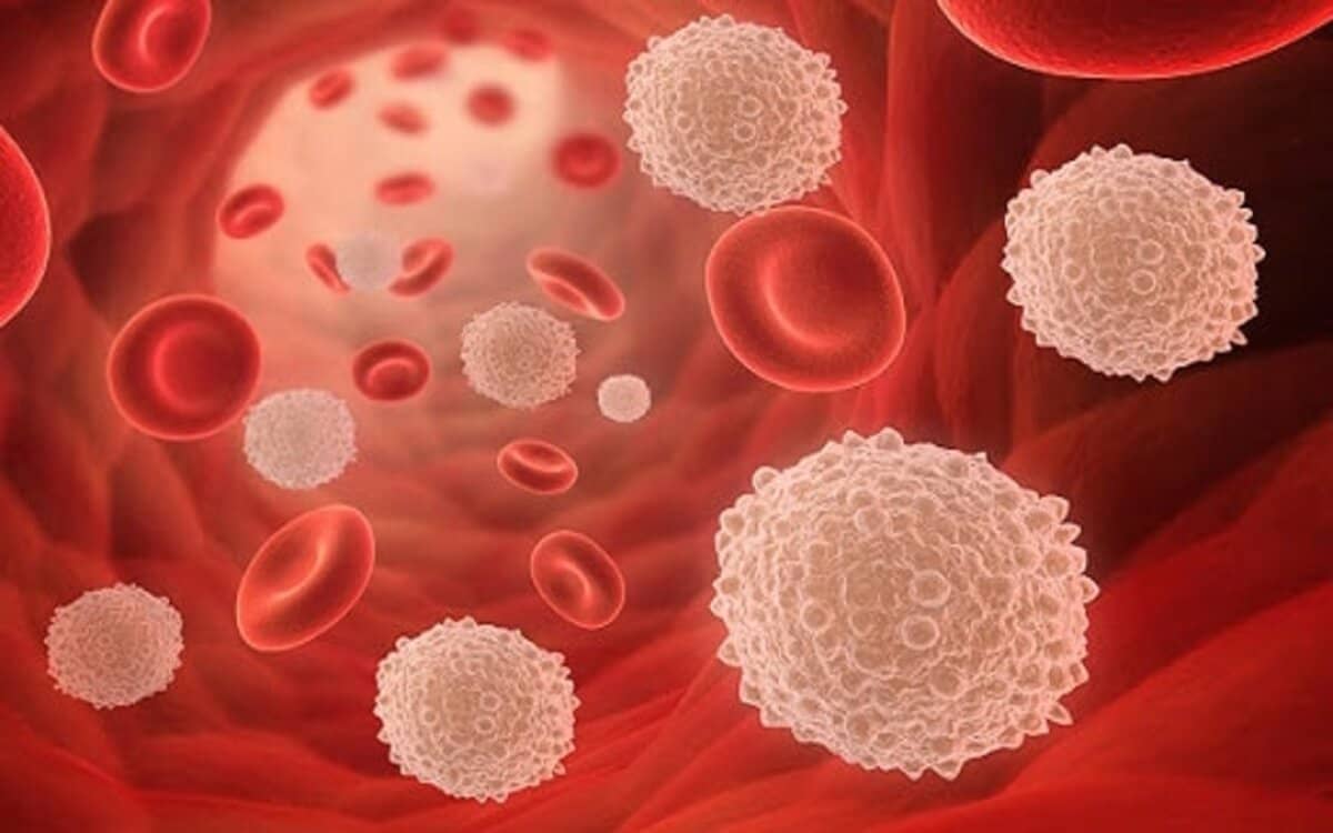 صورة اسباب ارتفاع neutrophils