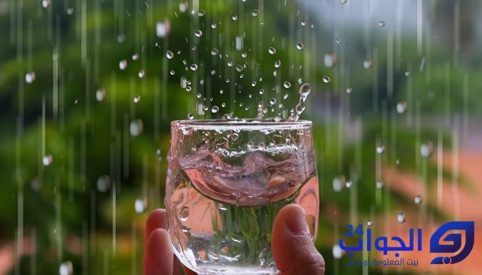 فوائد ماء المطر للشعر