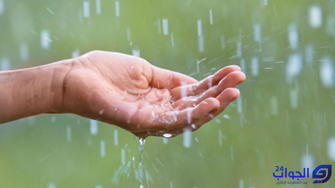 فوائد ماء المطر للشعر