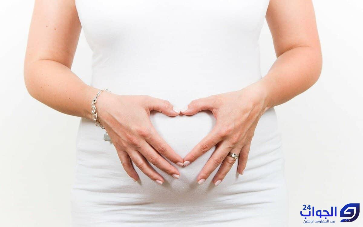 حجم بطن الحامل في الشهر الثالث