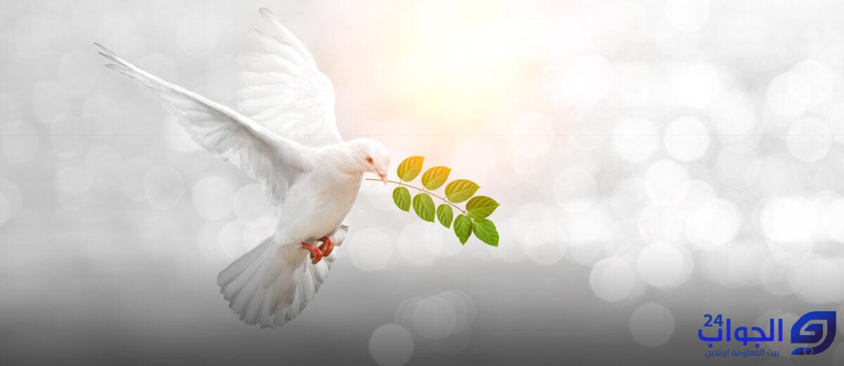 حديث الرسول عن السلام